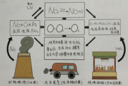 東鴻環(huán)保知識課堂25：近地面的O?，臭氧是如何形成的呢?